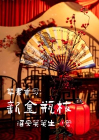 禁书重写：新金瓶梅